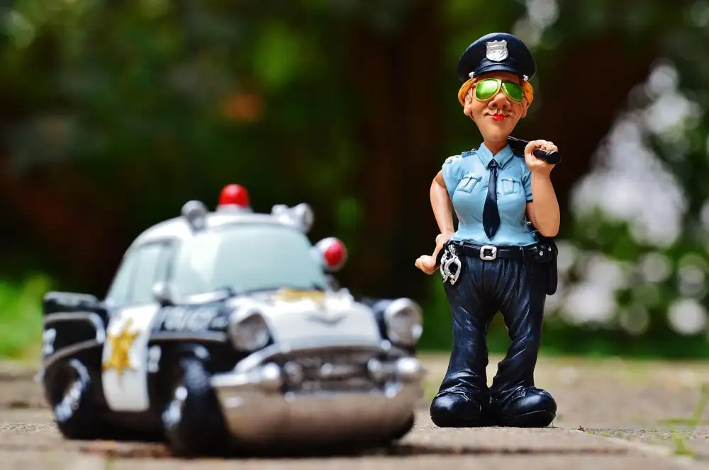 Nášivky Policie